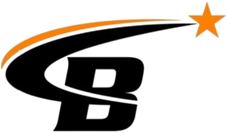 B.S.S Project logo